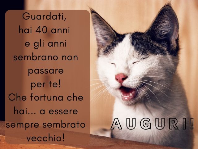 auguri di buon compleanno immagini divertenti