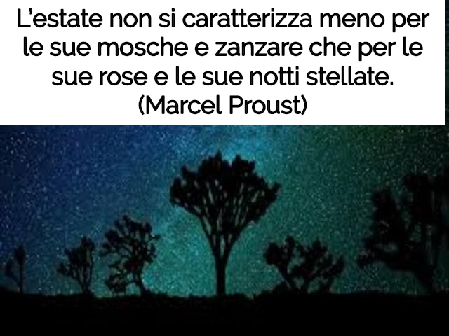 estate frasi 13