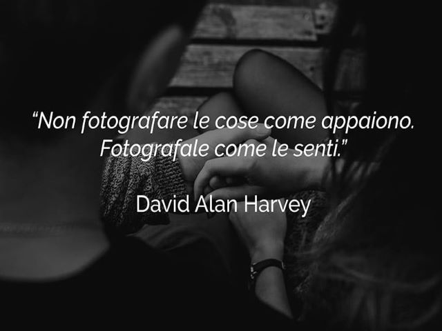 frasi belle fotografia