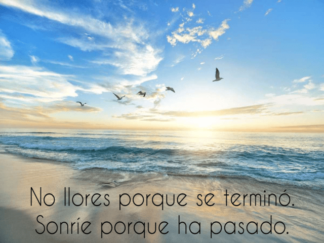 frasi carine in spagnolo