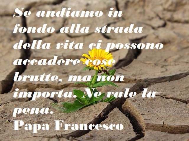 frasi di papa francesco sulla vita