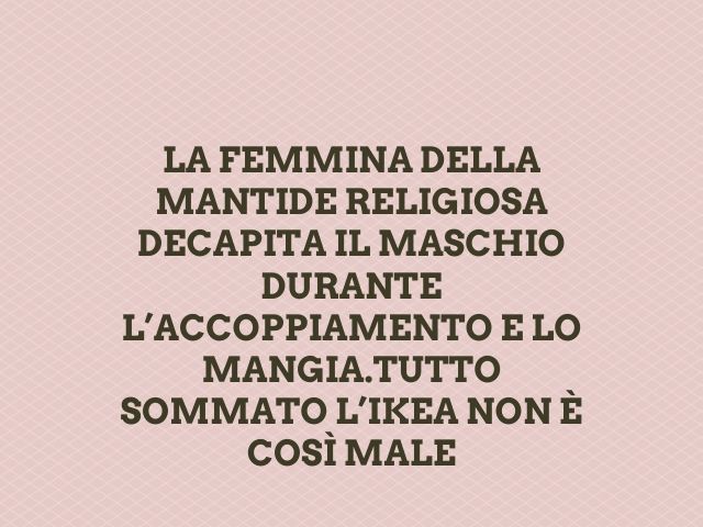 frasi divertenti frasi donne