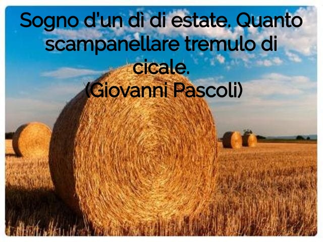 frasi estate 6