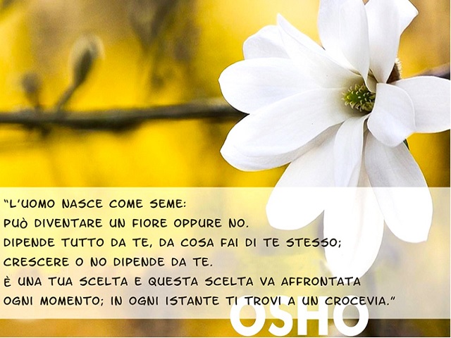 frasi osho vita