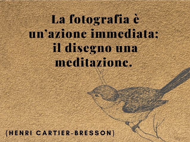 frasi per la fotografia