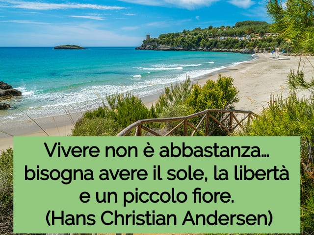 frasi sull'estate 13