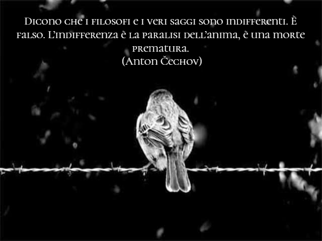 frasi sull'indifferenza