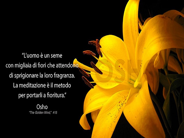 frasi sull amore osho