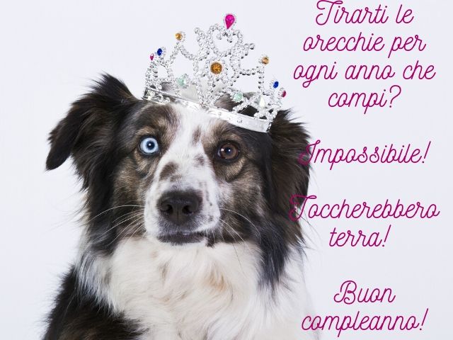 immagini buon compleanno divertenti animate