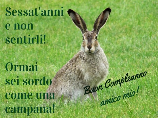 immagini compleanno divertenti gratis