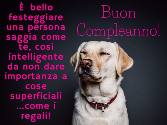 immagini di auguri di buon compleanno divertenti