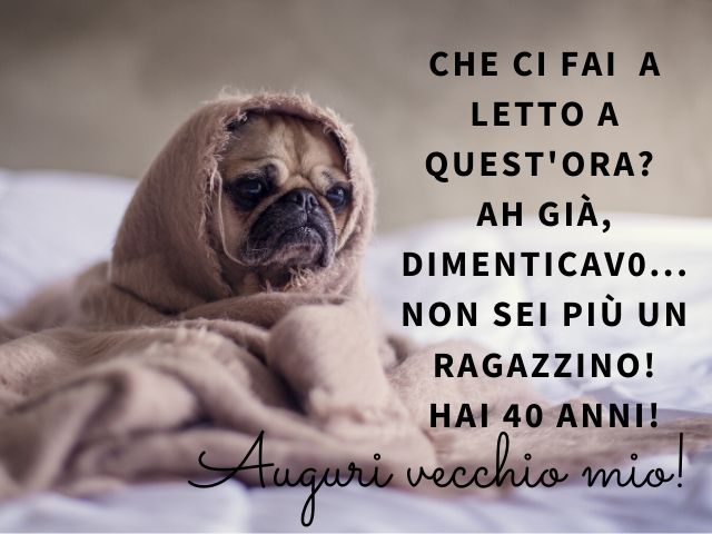 immagini divertenti auguri di buon compleanno