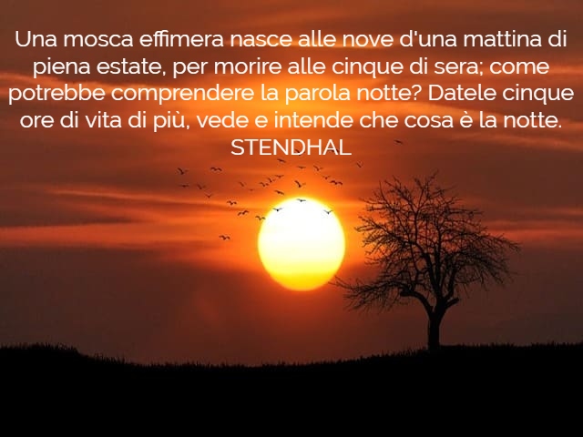 sere d'estate frasi 3