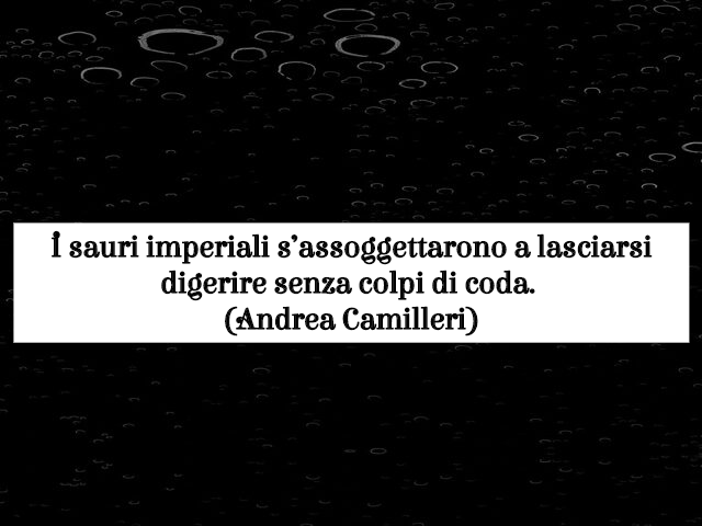 frasi di andrea camilleri immagini