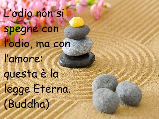 buddha frasi