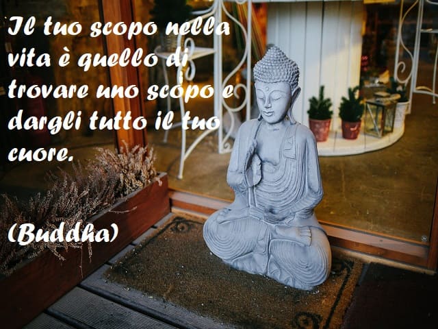 buddismo zen frasi