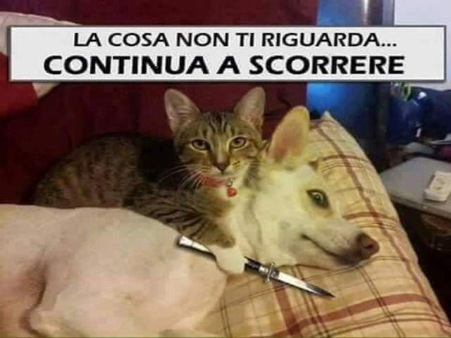 buongiorno frasi simpatiche