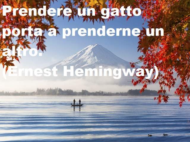 citazioni di hemingway