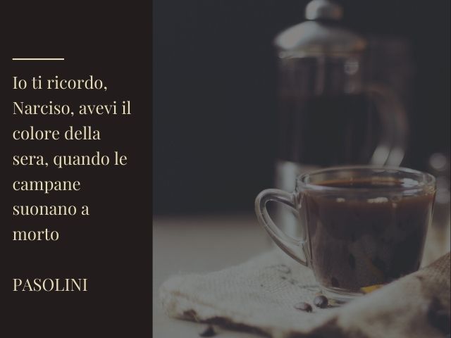 citazioni pasolini