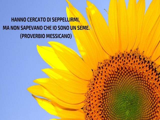 citazioni resilienza 