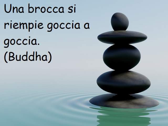 frase di buddha