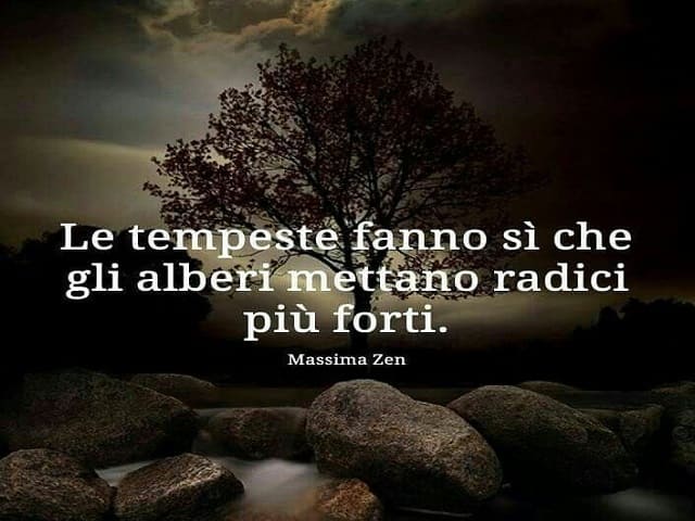 filosofia zen frasi