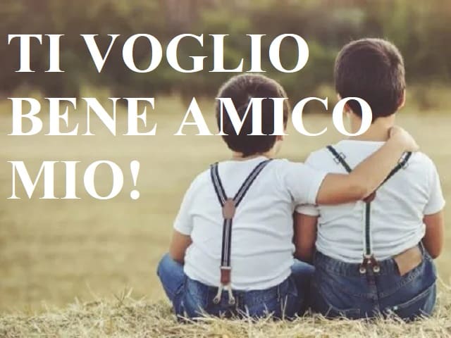 frasi ti voglio bene amico