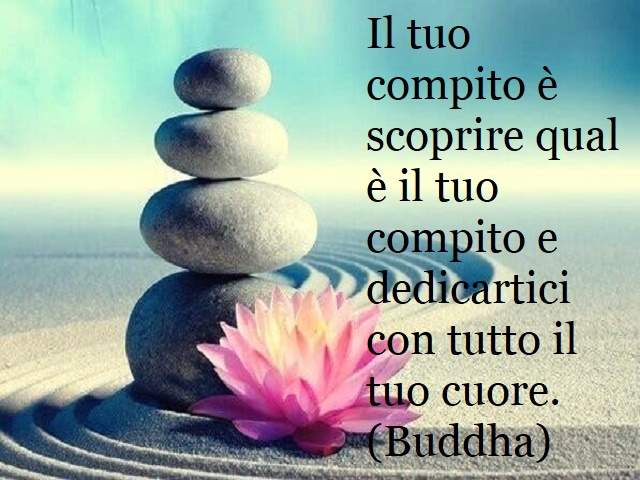 frase buddha 