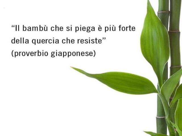 frase sulla resilienza 