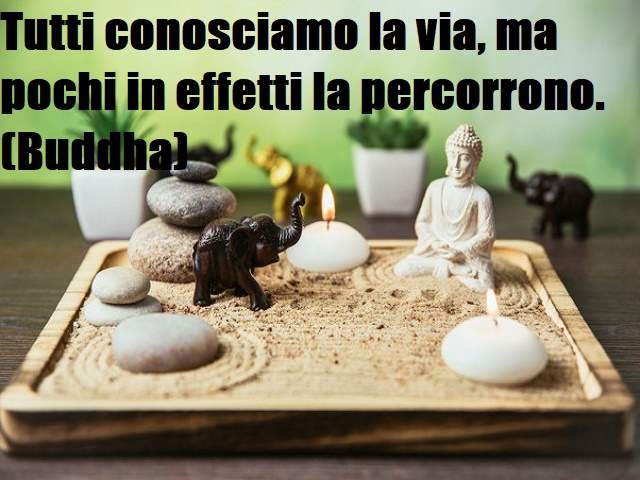 frasi buddah