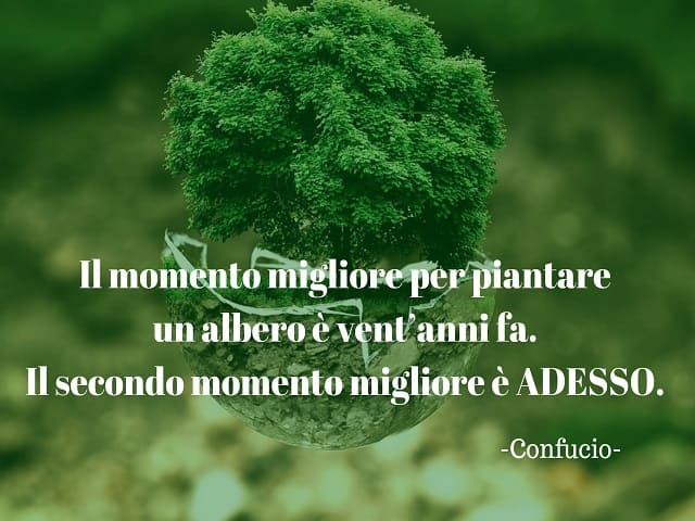 frasi celebri sull'ambiente