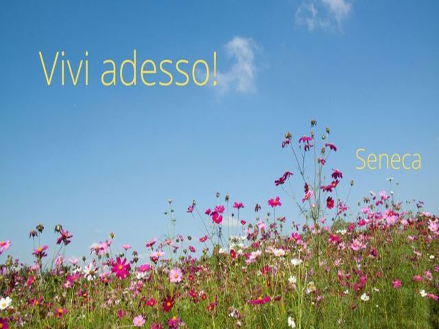 frasi di seneca 