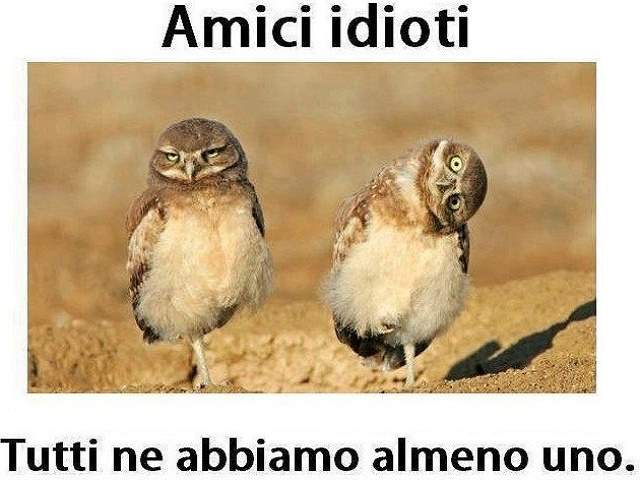 frasi divertenti 1