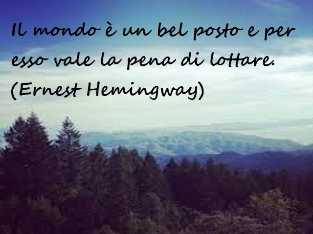 frasi gatti hemingway 1