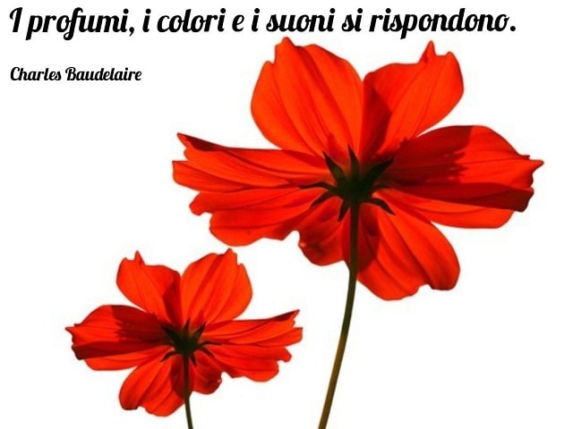 frasi su vivere a colori