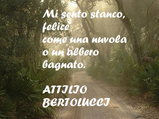 frasi sulla serenità della natura