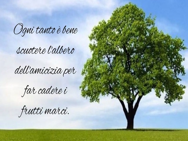 immagini bellissime con frasi significative