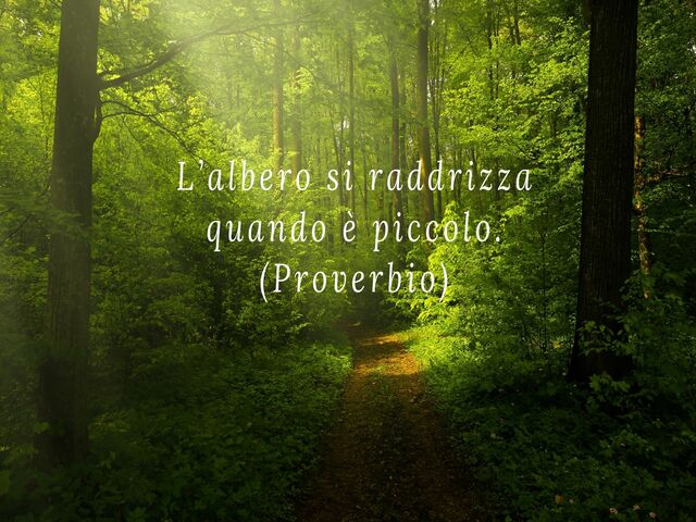 l'educazione frasi