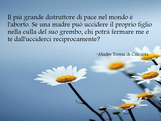 madre teresa frasi