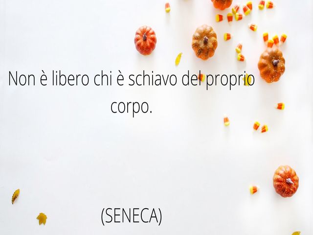 seneca aforismi