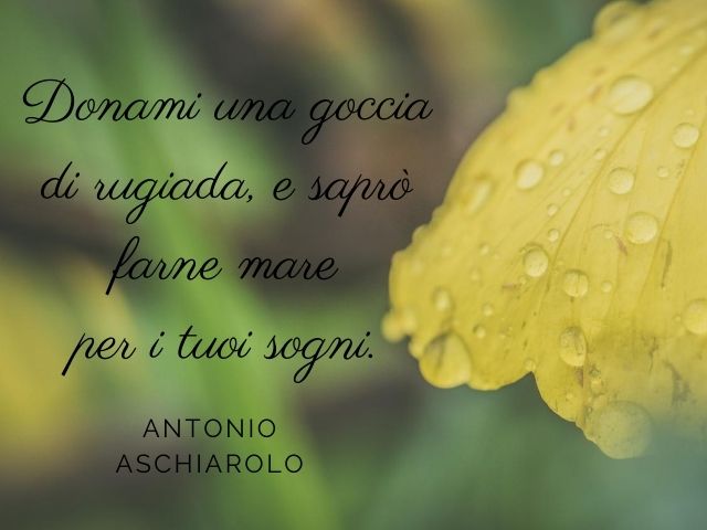 frase sui desideri