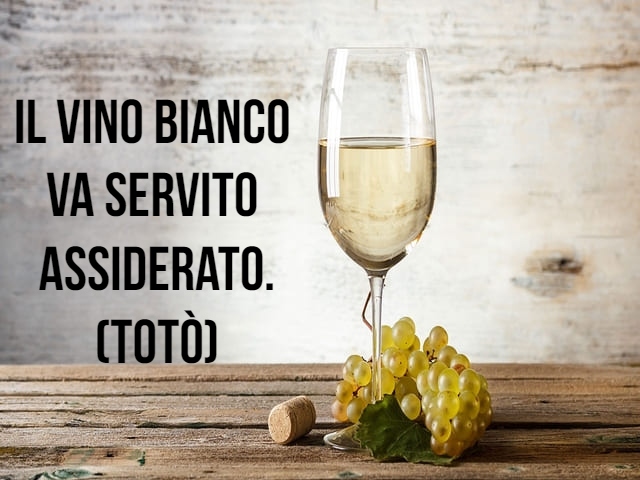 frasi sul vino bianco