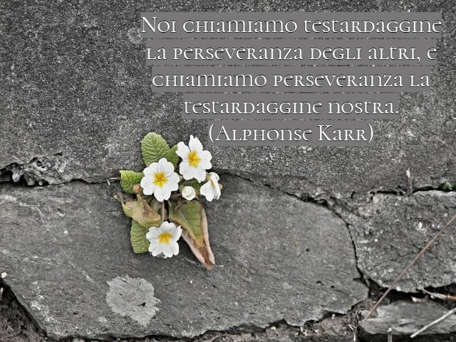 frasi sulla perseveranza 3