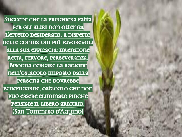 frasi sulla perseveranza 6