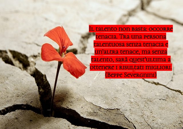 frasi sulla tenacia 6