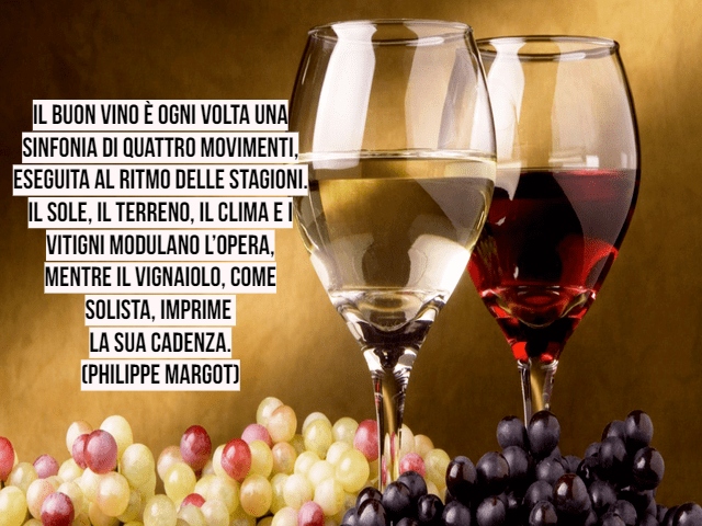 vino frasi 3