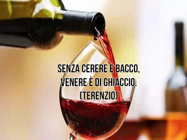 vino frasi 6