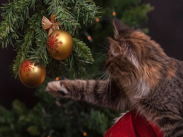 immagini di alberi di natale addobbati