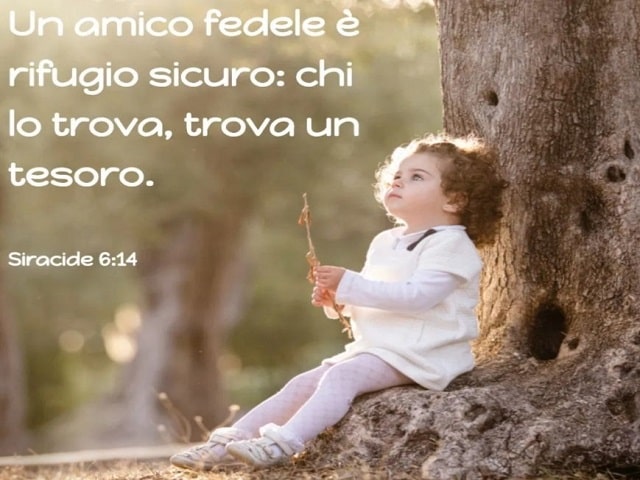 Frasi sull'amicizia: 165 dediche per i veri amici - FrasiDaDedicare