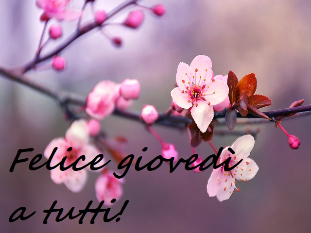 Buon giovedì! 120 immagini per augurare un felice giovedì a tutti!